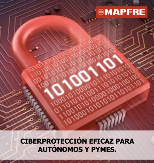 Ciberprotección
