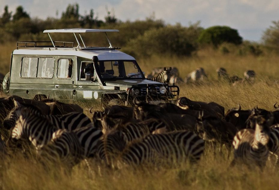 Seguro de viaje de Safari y Caza