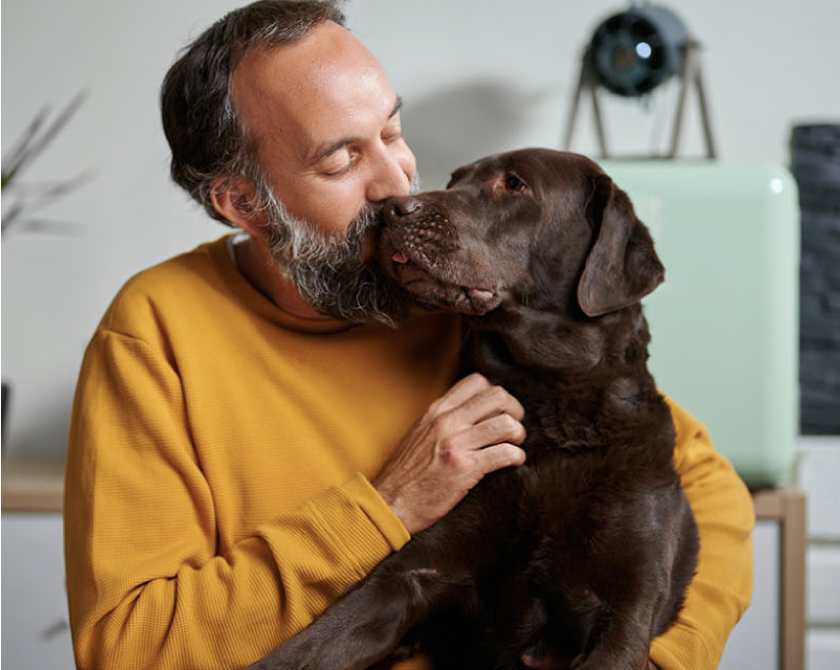 Seguro para Perros. Seguro para Perros.
