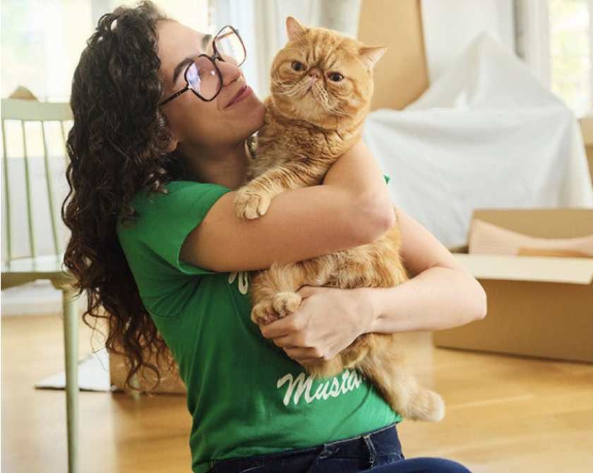 Seguro para gatos. Seguro para gatos.