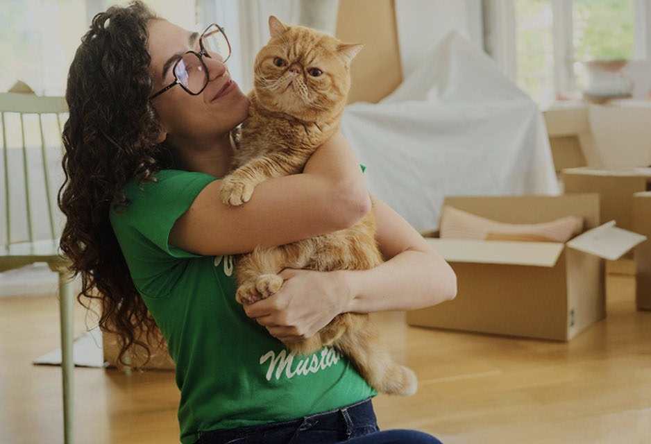 Seguro para gatos
