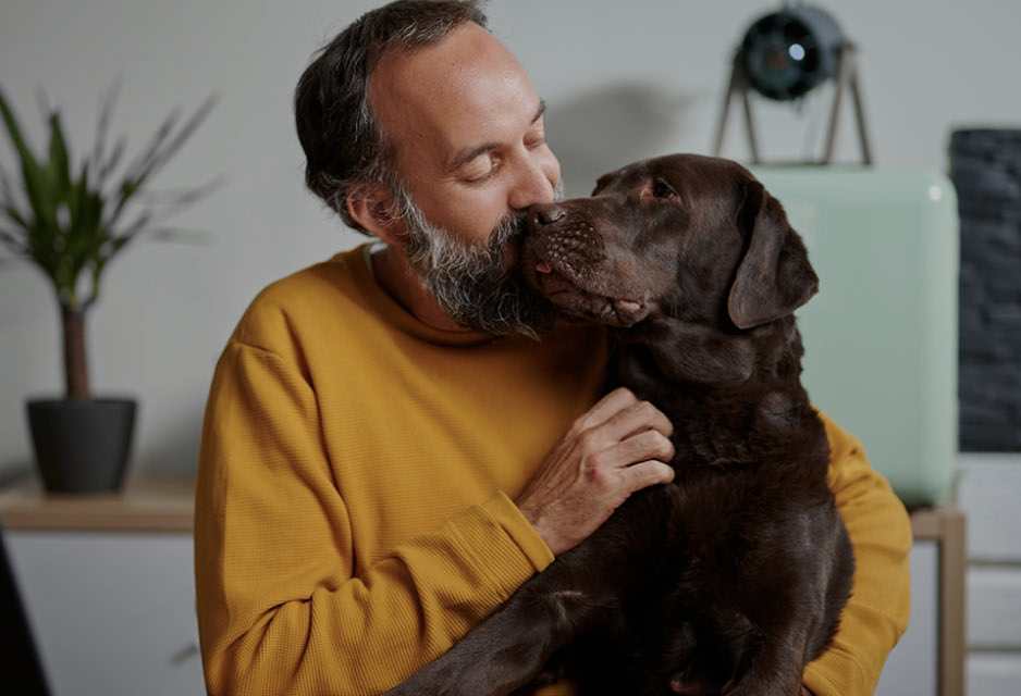 Seguro para perros
